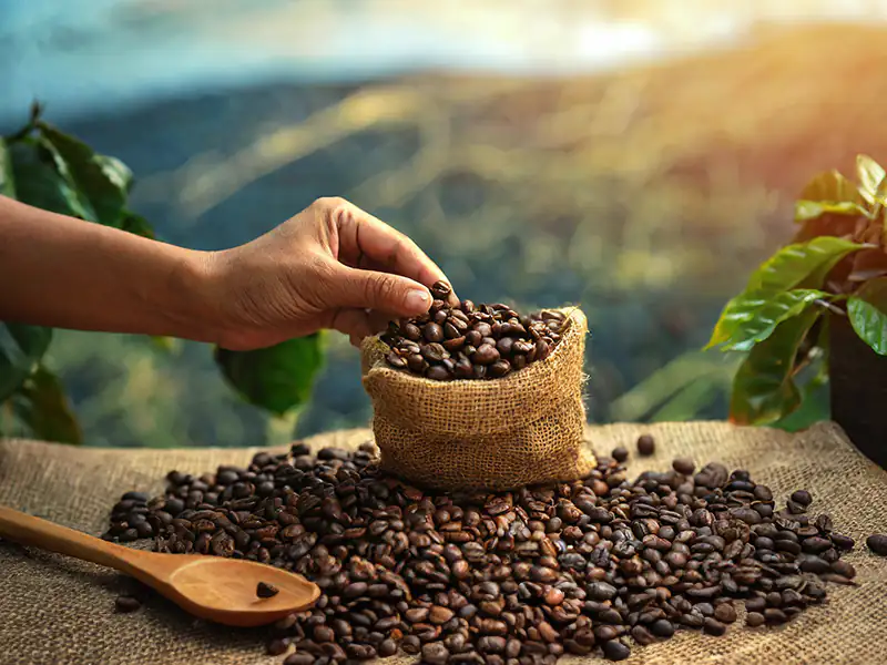 Coffee theft couple arrested