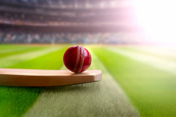 Leatherball cricket tournament among Kodava communities in October