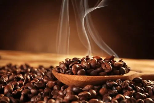 Coffee sector achievers felicitated at Coffee Dasara