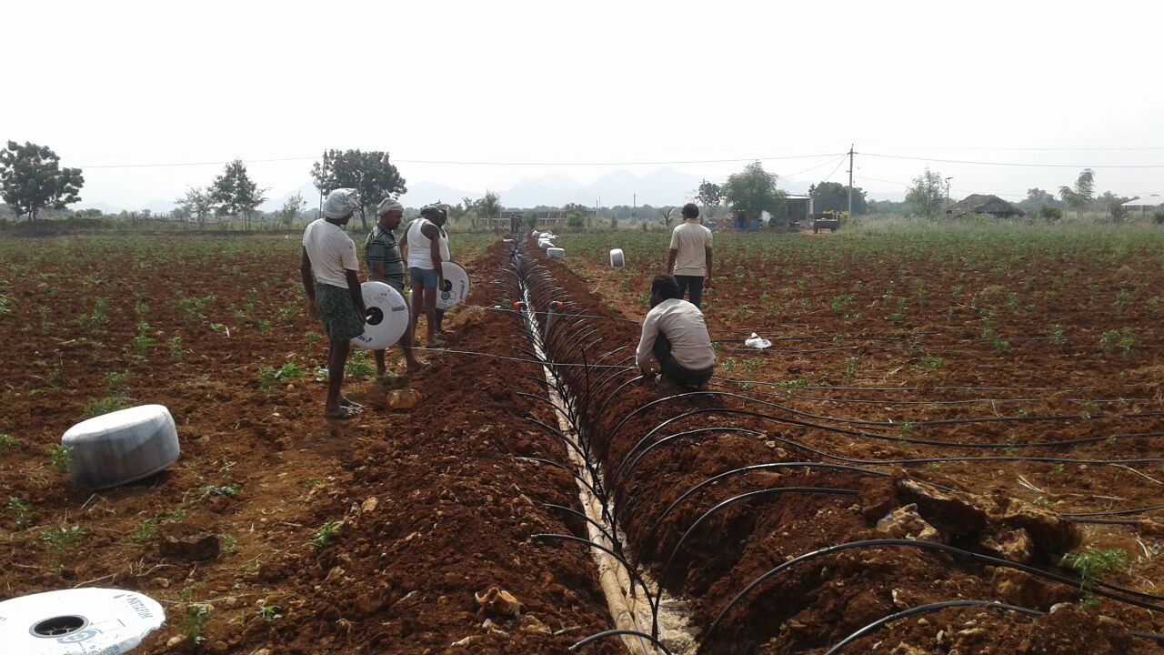 Sediment farming that fills the farmer's pocket