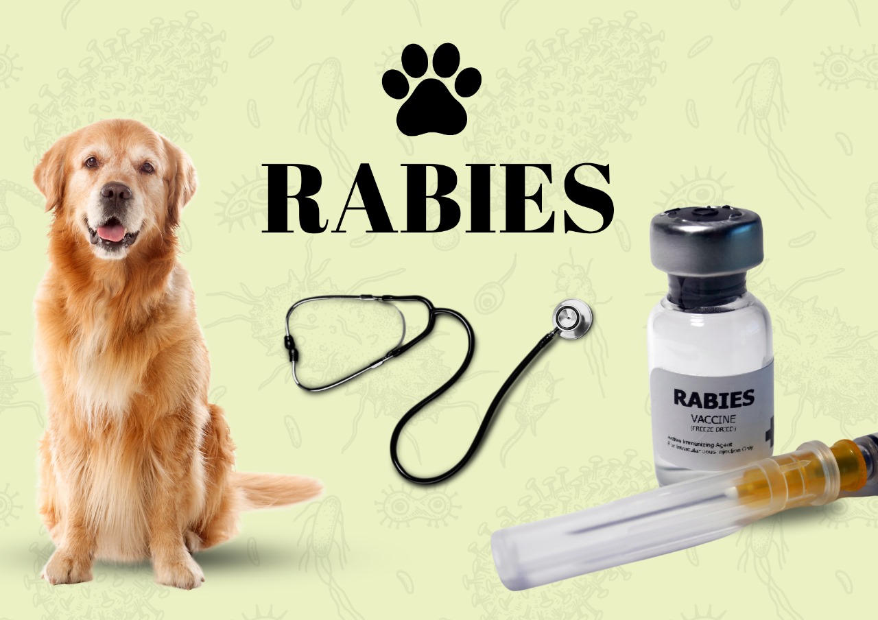 Rabies Control Vaccination Camp