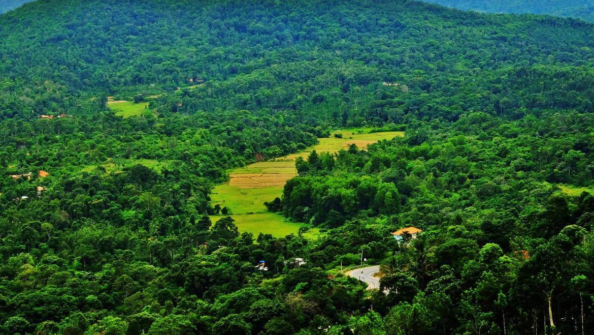 Beyond the borders of Kodagu