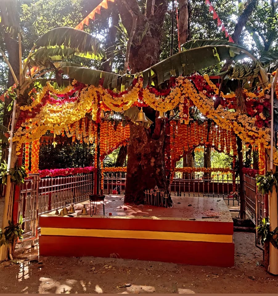 There Mahotsava at Balugod Kandimakki Temple