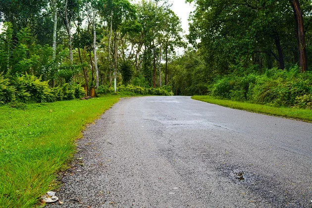 Let&rsquo;s Explore the Scenic Roads of Kodagu District.