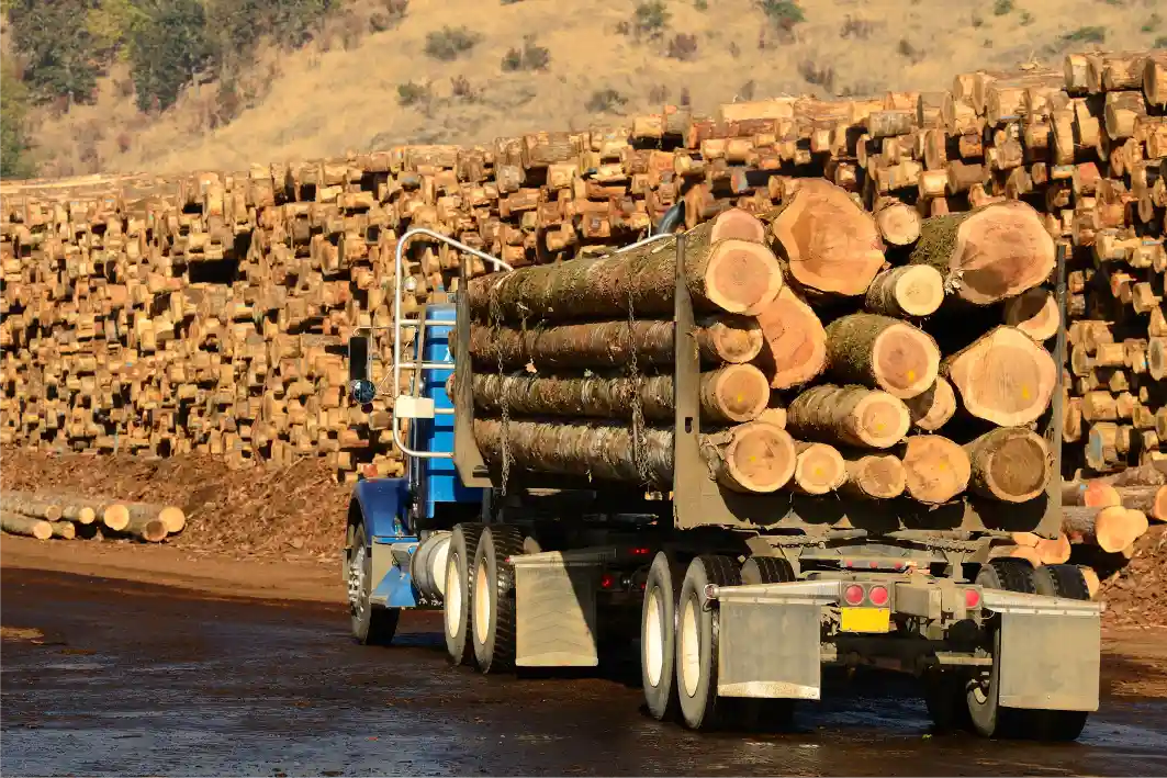 Illegal Timber Transportation