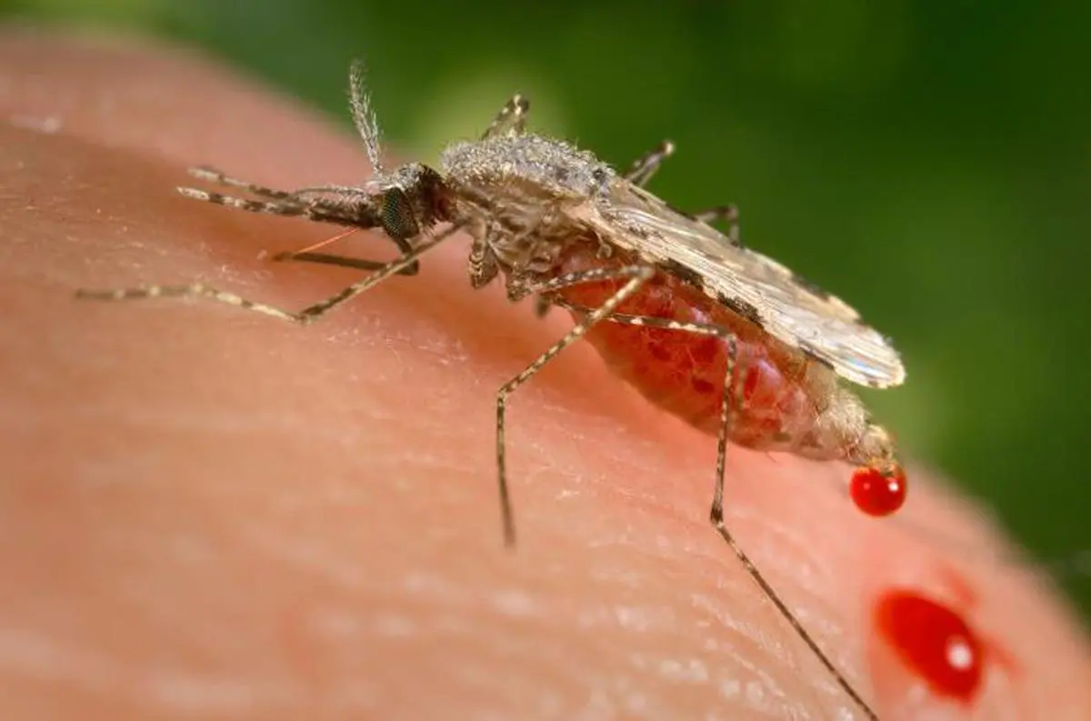 Centre Targets Malaria Elimination by 2030