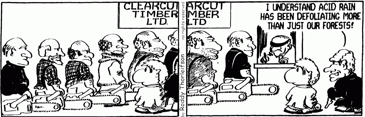 cartoon