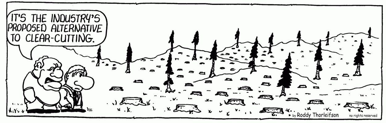 cartoon